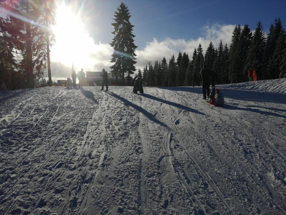 Pokoje Goscinne Karkonosze Wojcieszyce Buitenkant foto