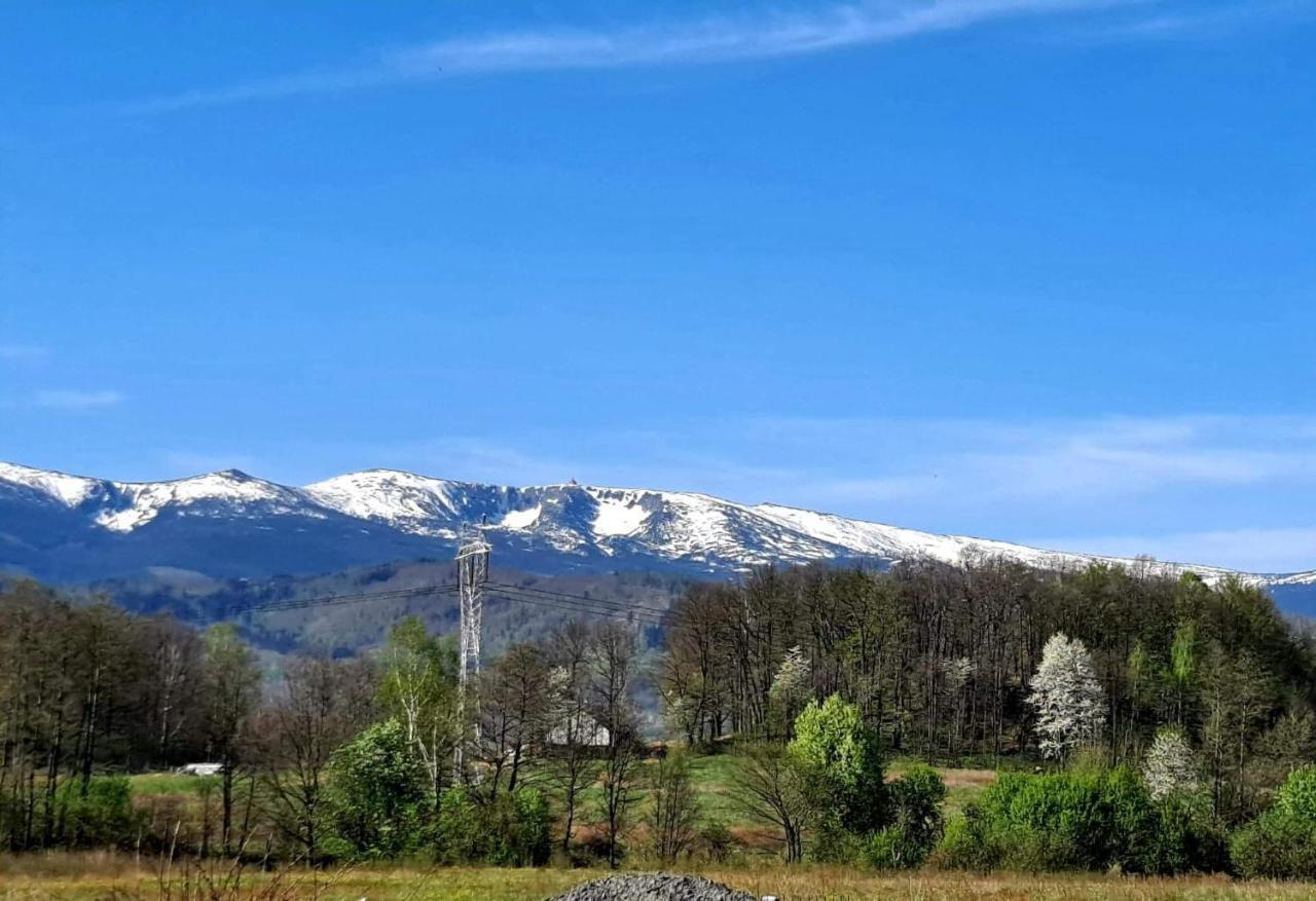 Pokoje Goscinne Karkonosze Wojcieszyce Buitenkant foto